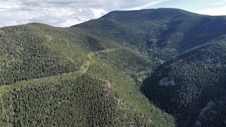 1697 Packsaddle Trail, Floyd Hill, CO 80439