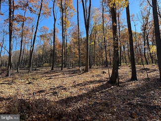 0 Digging Bear Ln Unit VALO2111586, Purcellville, VA 20132