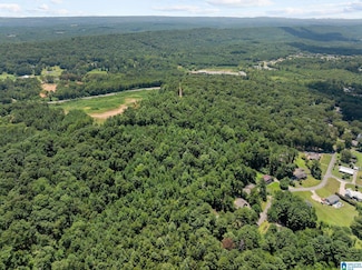 0 Sunshine Ave Unit 21427459, Oneonta, AL 35121