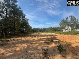 1615 Loner Rd, Blythewood, SC 29016