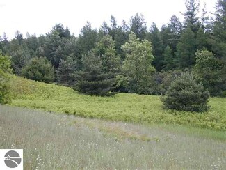 9962 W County Line Rd, Buckley, MI 49620
