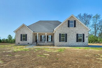 219 Unionville-Chapel Hill Rd, Unionville, TN 37180