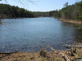 1876 County Road 684, Flat Rock, AL 35966