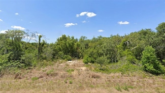 228 Hallmark Ave, Lake Placid, FL 33852
