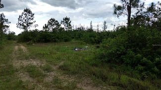 1508 Washington Ave, Lehigh Acres, FL 33972