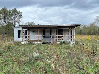 1174 Straits Corners Rd, Owego, NY 13827