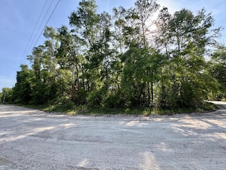 LOT 58 NE 170th St, Old Town, FL 32680