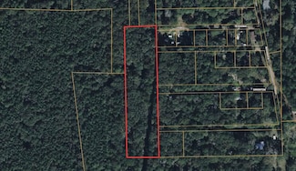 Austin, Livingston, TX 77351