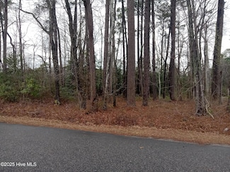 296 Country Club, Whiteville, NC 28472