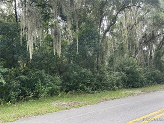 6285 N Shorewood Dr, Hernando, FL 34442