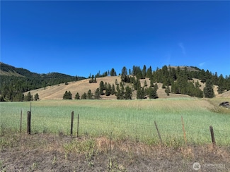 4 XXX Lundimow Meadows Rd, Curlew, WA 99118