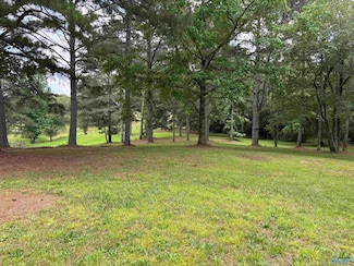 64 Lakeview Dr, Altoona, AL 35952