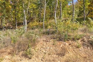 Lot 56 Restore Ridge, Harrison, AR 72601