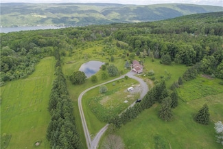 6001 Canadice Hill Rd, Springwater, NY 14560