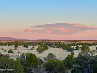317 Forest Line Cir, Ash Fork, AZ 86320