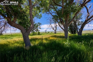 23655 E Garrett Rd, Calhan, CO 80808