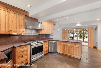 814 W Bleeker St Unit E5, Aspen, CO 81611