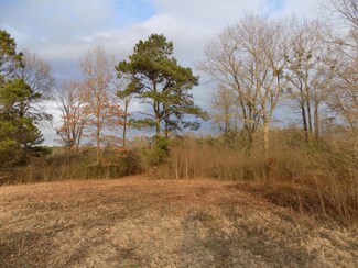 00 Fulgham Rd, Tylertown, MS 39667
