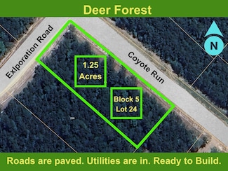 86 Coyote Run, Willis, TX 77378