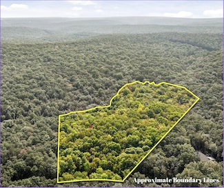 0 Beaten Path Unit 1500691, Signal Mountain, TN 37377