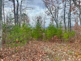 378-Tr E Rocky Top Rd, Newport, TN 37821