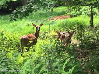 Lot CP1072 Meckesville Rd, Penn Forest Township, PA 18210