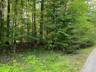 7326 State Route 19 Unit 2, Lots 322 & 3, Mount Gilead, OH 43338