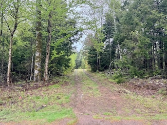 M15 L12 Golding Rd, Perry, ME 04667