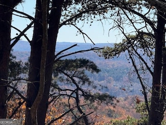 0 John Call Rd Unit 10646302, Talking Rock, GA 30175