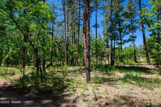 13 County Road N 2122, Alpine, AZ 85920