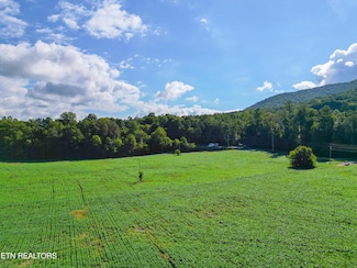 61 +/- acs Cosby Hwy, Cosby, TN 37722