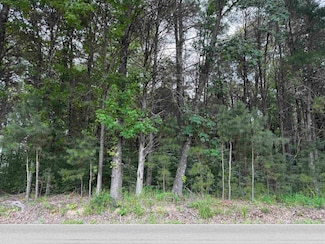 0 Latting Rd Unit 10198268, Unincorporated, TN 38016