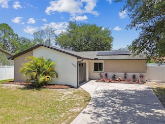 13835 Pathfinder Dr, Tampa, FL 33625