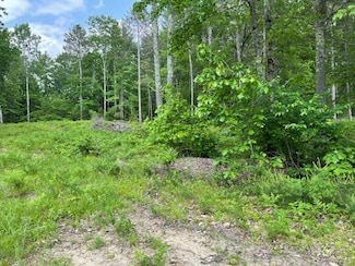 Lot 33 Blake Trail, Tuftonboro, NH 03816