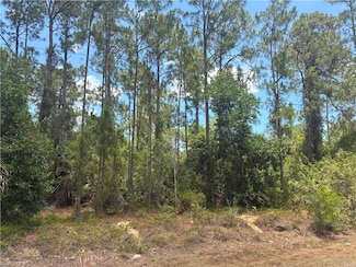 5043 Palmetto Woods Dr, Urban Estates, FL 34119
