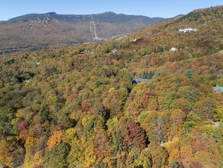 0 Billings Hill Rd Unit lot 38, Stowe, VT 05672