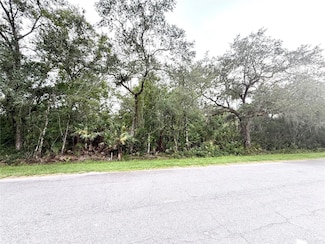 0 Sarmundham St Unit MFRO6312096, Orlando, FL 32833