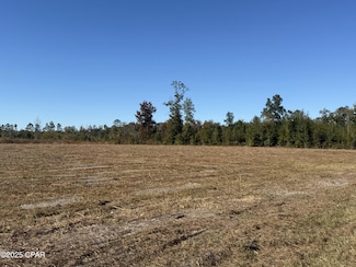 Lot 1 Florida 71, Wewahitchka, FL 32465