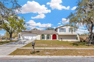 1208 Briarpark Way, Valrico, FL 33596