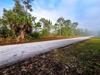 6005 Sally Ave N, Lehigh Acres, FL 33971