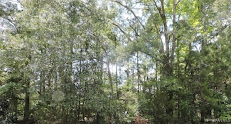 0 Ridge Rd, Greenville, AL 36037