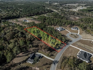 241 Partridge Cir, Leesburg, GA 31763