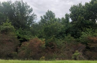 NHN Cedar Grove Ave, Picayune, MS 39466