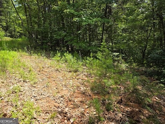 LOT 14 & 6 Bean Creek, Sautee Nacoochee, GA 30571