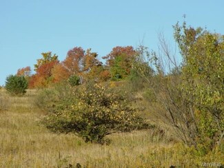 0 Bryant Hill Rd Unit B1008234, Franklinville, NY 14737