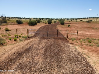 1545 County Rd Unit 5270 (Hunt Road), Concho, AZ 85924