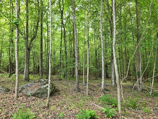 0 County Road 823 Unit 23688989, Wadley, AL 36276