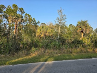 356 Ramblewood St, Port Charlotte, FL 33953