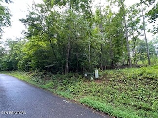 0 Lot 20 Hazelwood Ct Unit 1277425, Baneberry, TN 37890