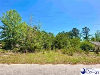Lot 11 Tara Dr, Florence, SC 29505